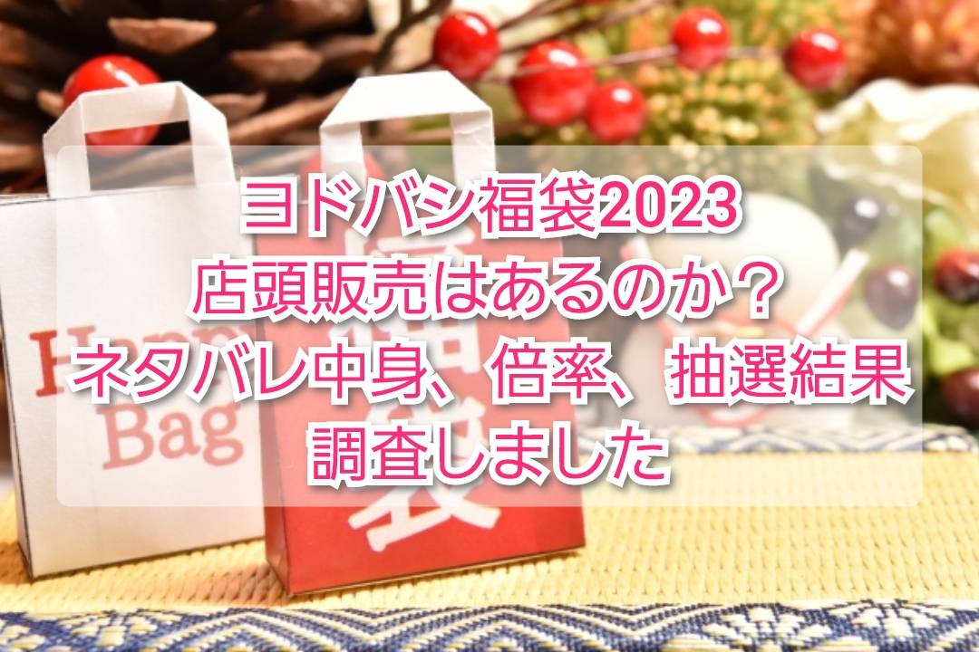 全国組立設置無料 ヨドバシカメラ 2023夢のお年玉箱 プラモデルの夢