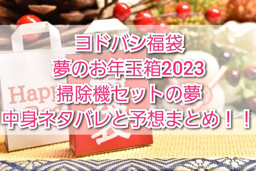 ヨドバシ福袋・夢のお年玉箱2023掃除機セットの夢の中身ネタバレと予想 