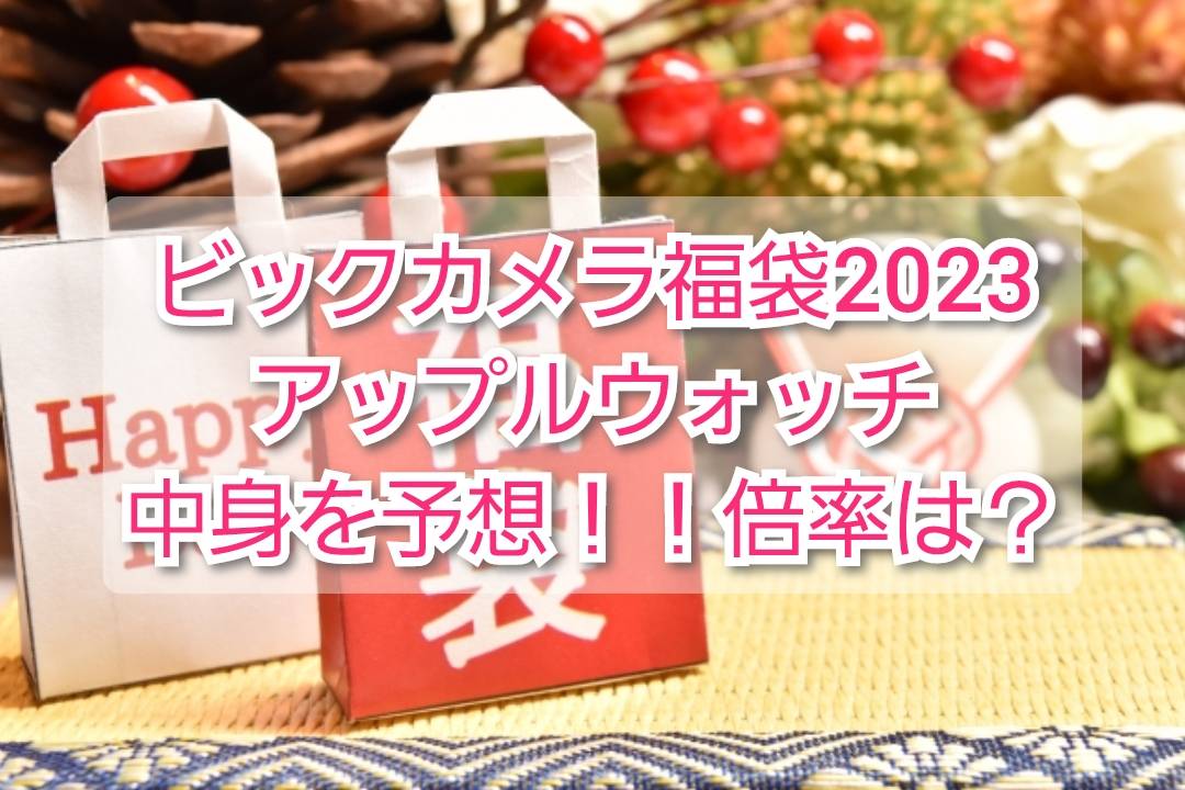 春物がお買い得☆週末限定SALE 第1世代 ビックカメラ 2023 エアポッズ