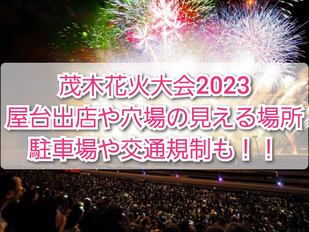 売り出し在庫 S1駐車券 もてぎ花火の祭典8/14③ - 施設利用券