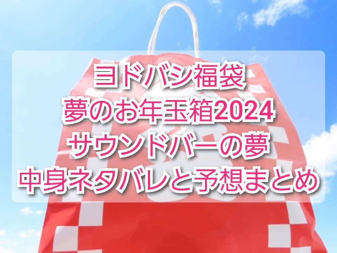 Bose TV Speaker ヨドバシカメラ2024福袋 サウンドバーの夢 - スピーカー